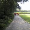 kamp2001 (163)