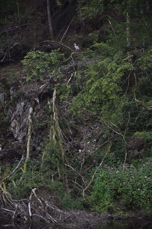 kamp H2O Chairiere 201